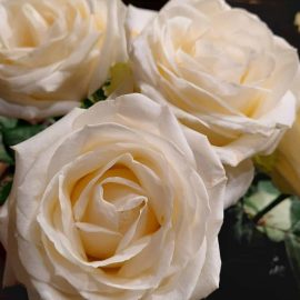 Afbeelding van WhatsApp op 2025-02-13 om 16.22.26_a0cdff1a